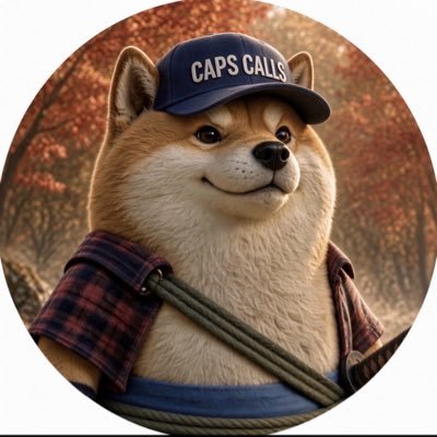 Capitalist🧢 資本家 (skitzo arc) profile picture